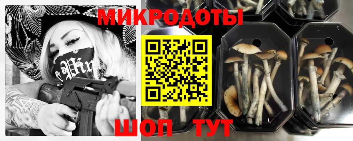 Галлюциногенные грибы Psilocybe  Вход с VPN  Алушта 