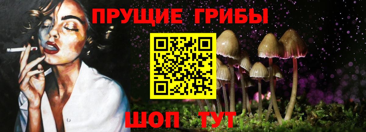 Галлюциногенные грибы Cubensis Алушта